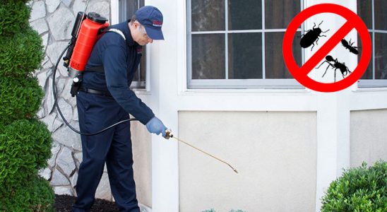 Gemlik Dezenfeksiyon böcek ilaçlama ve haşere kontrolü — ilaclama-tr.com